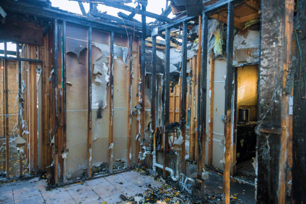 Professional Soot Cleanup technician working in Norwood, PA